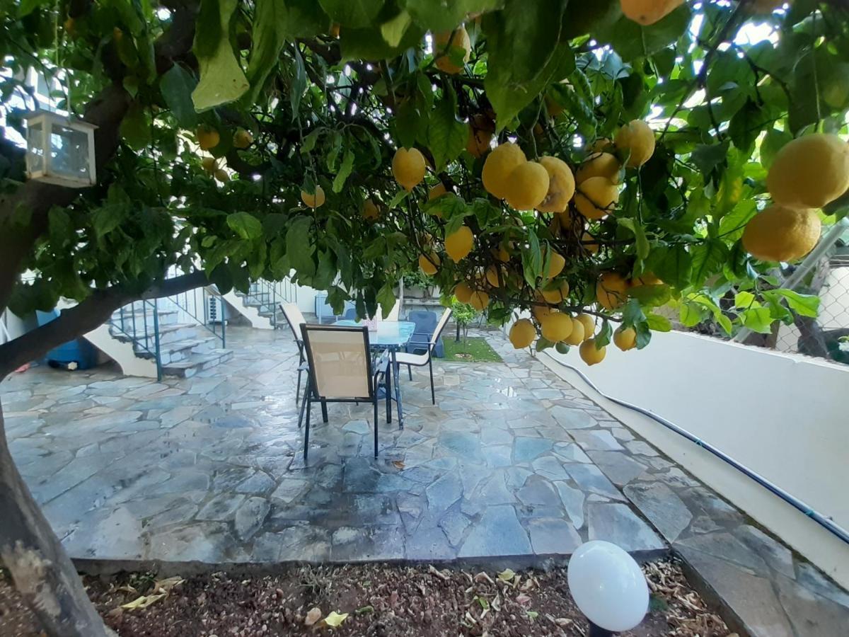 Cozy Apartments Near The Airport Artemida  Bagian luar foto